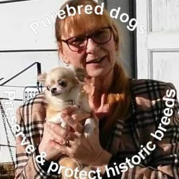 Meet your Posher, Claudia - Picture 1 of 1